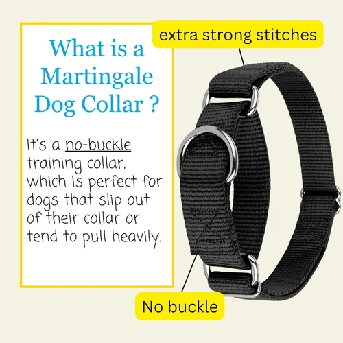 Miniatura 5 de Country Brook Petz - Collar Martingale para perro - Collar de entrenamiento resistente sin hebilla - Collar para perro de servicio para todas