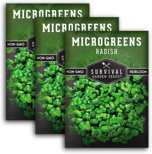 Miniatura 11 de 2 paquetes de semillas de rábano para plantar y cultivar – Planta microvegetales de hoja verde en interiores – Cultiva tu propio mini jardín