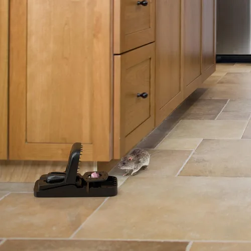Miniatura 5 de BLACK+DECKER Trampa para ratas para exteriores y ratas en interiores, mata instantáneamente ardillas y ardillas - Trampa a presión para roedores