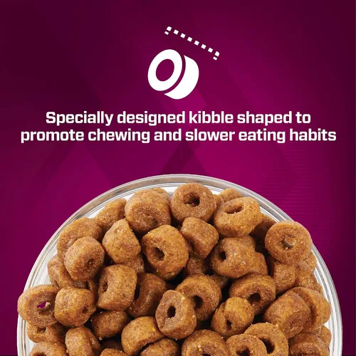 Miniatura 4 de Eukanuba Premium Performance Puppy Pro - Alimento seco para cachorros, bolsa de 4 libras