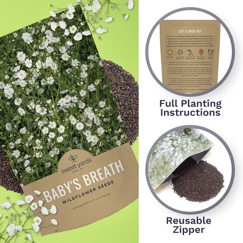 Miniatura 5 de Semillas de Gypsophila elegans de Baby's Breath vistosas – Bolsa a granel de un cuarto de libra – Más de 80.000 semillas de flores silvestres