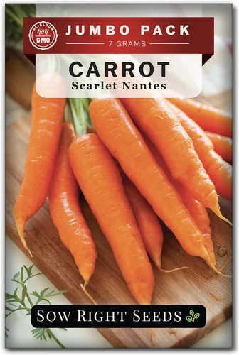 Sow Right Seeds - Semillas de zanahoria Scarlet Nantes a granel para plantar - 0.25 oz, 5000 semillas - Paquete jumbo de reliquia sin OMG con