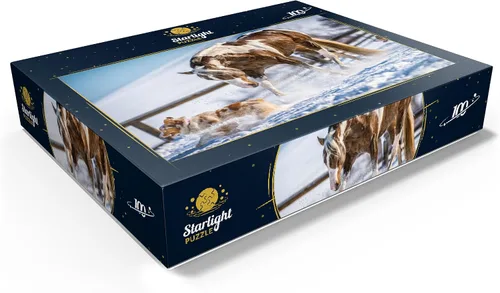 Miniatura 3 de MyPuzzle American Paint Horse On Snow - Rompecabezas de 100 piezas para adultos