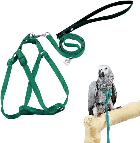 ASOCEA Arnés ajustable para pájaros y correa para amazonas amarillas, cacatúas, loros de razas pequeñas a medianas, se adapta a pechos de pájaros de
