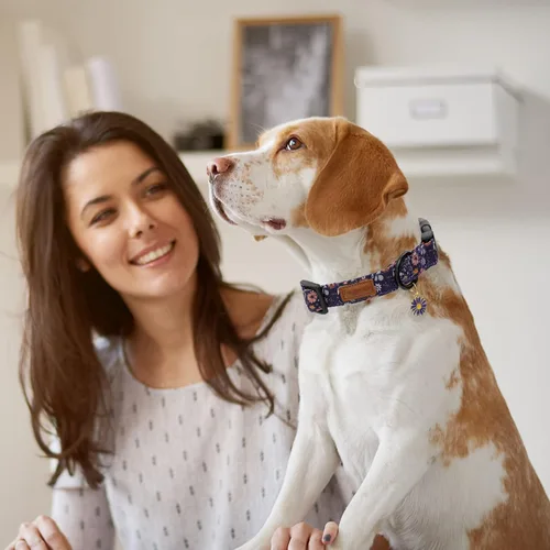 Miniatura 5 de Faygarsle Collar de Perro Floral para Niñas y Perras Hembras Collar de Mascota Suave y Elegante con Diseño de Flores Collar de Perro Morado Ideal