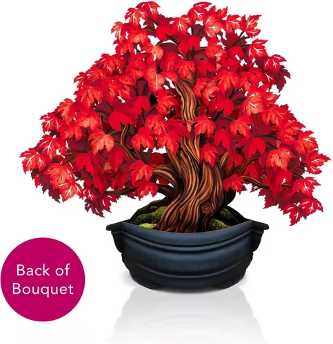 Miniatura 9 de Freshcut Paper Tarjetas desplegables, árbol de arce rojo, ramo de flores de tamaño real de 12 pulgadas, tarjeta de felicitación emergente 3D