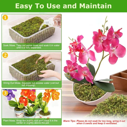 Miniatura 4 de Legigo Musgo esfagnum de 3.5 onzas para plantas, mezcla para macetas de musgo de orquídea natural de 4 cuartos de galón, mezcla seca, musgo