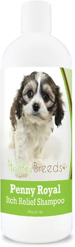 Miniatura 138 de Healthy Breeds Cavalier King Charles Spaniel Penny Royal - Champú para aliviar la picazón de 8 onzas