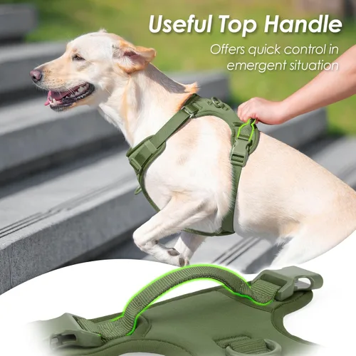 Miniatura 4 de Arnés sin tirones para perro, chaleco para cachorros con clip frontal para perros pequeños, medianos y grandes (verde niebla, M)