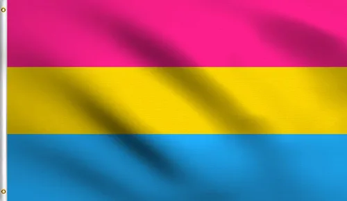 DMSE Pride Series - Bandera de 2 x 3 pies, 100 % poliéster, 100 % poliéster, bandera 100D resistente a los rayos UV (2 pies x 3 pies pansexual)