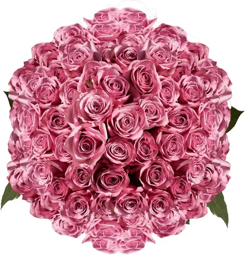Miniatura 19 de GlobalRose Ramo de 100 Rosas Melocotón - Rosas de Origen Responsable Flores Frescas - Ramo Fresco de Flores Seleccionadas a Mano para Graduación