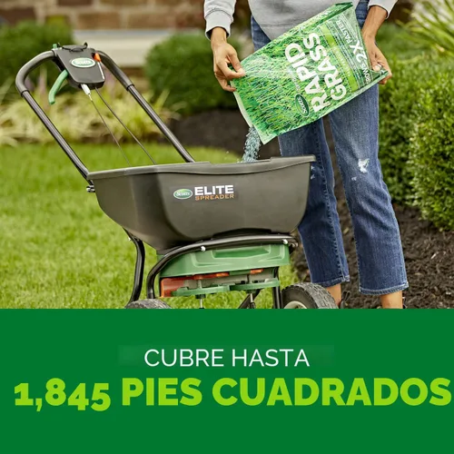 Miniatura 10 de Scotts Turf Builder Rapid Grass - Mezcla de festuca alta, combinación de semillas de césped y fertilizante, cultiva césped verde en solo semanas