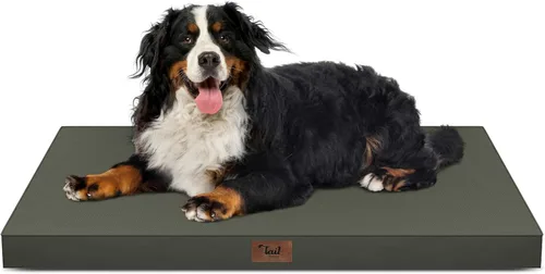 Miniatura 74 de Cama ortopédica de felpa para perros y cachorros medianos, camas impermeables para perros de 30 x 20 pulgadas con funda extraíble lavable, tapete