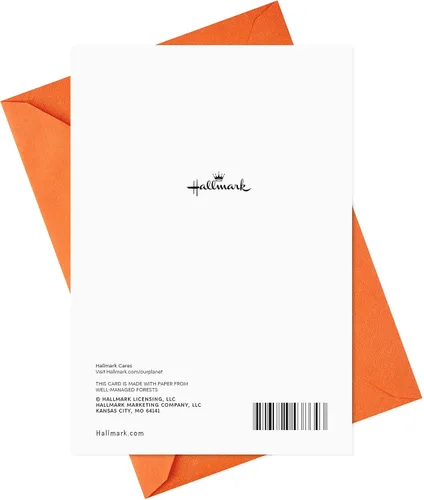 Miniatura 6 de Hallmark Divertidas tarjetas de Halloween (6 tarjetas con sobres) Calabaza vomitando