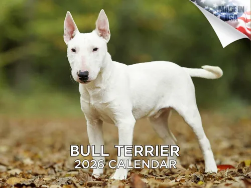 Miniatura 110 de Calendario 2025 2026 de cachorros Cocker Spaniel - Calendario mensual de pared de raza de perro - 12" x 24" abierto - Papel grueso sin sangrado