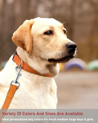 Miniatura 7 de Collar de perro reflectante con hebilla ajustable de nailon, collares de seguridad para perros pequeños, medianos y grandes, color naranja XXS