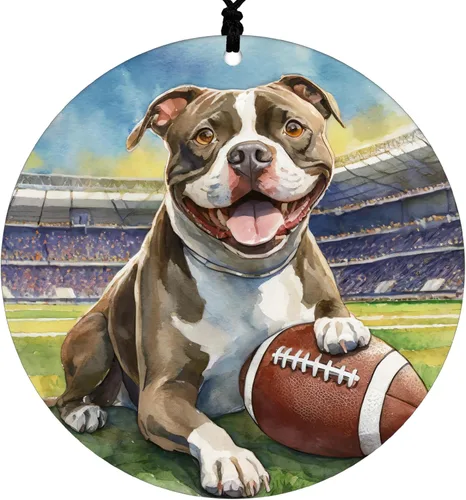 Miniatura 10 de Adorno de Navidad de Pitbull - Adorno colgante deportivo para el hogar con diseño temático de béisbol - Adorno de disco acrílico 2025 para árbol
