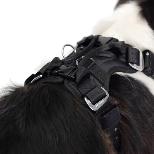Miniatura 5 de Arnés de coche para perros EzyDog Drive – Arnés de cinturón de seguridad para perros a prueba de choques y certificado (US-FMVSS 213) para viajes