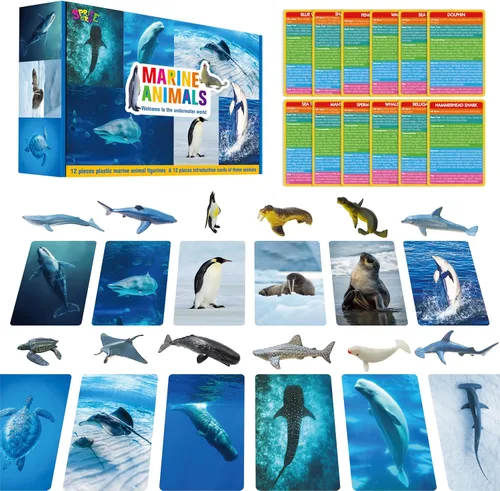 Miniatura 10 de SpriteGru 12 piezas de figuras de dinosaurios con 12 tarjetas de presentación, figuras de dinosaurios portátiles Montessori, juguetes educativos