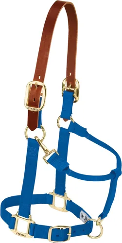 Weaver Leather Caballo ajustable de nylon Breakaway Halter, azul, destetado/poni