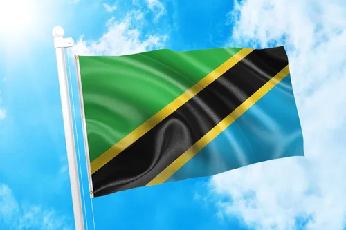 Miniatura 60 de DMSE Bandera de Sierra Leona 3X5 Pies 100% Poliéster Bandera 100D 47-91 x 152 cm