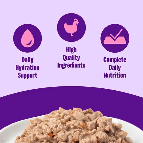 Miniatura 2 de Wellness Complete Health - Alimento húmedo en paté para gatos adultos, natural, rico en proteínas, sin granos, 12.5 onzas, paquete de 12 (pollo)