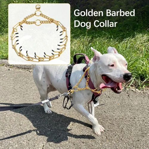 Miniatura 6 de Collar para perro de acero inoxidable, con punta dorada, collar de cadena de metal de acero inoxidable, collar de cadena de metal de acero