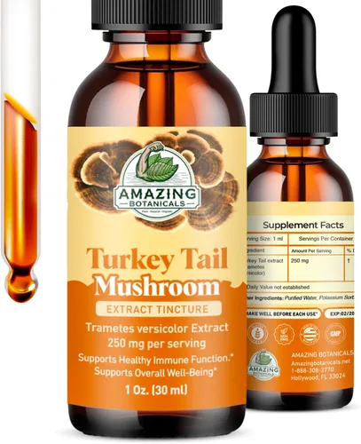 Miniatura 10 de Tónico orgánico Super Shrooms 6 en 1 para el bienestar de hongos – 250 mg por porción de Chaga, melena de león, Reishi, Shiitake, Cordyceps, cola