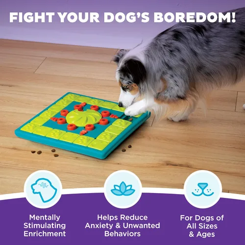 Miniatura 2 de Outward Hound por Nina Ottosson Multipuzzle Nivel 4 Experto Rompecabezas para Perros con Tratamientos para Enriquecimiento, Azul Multipuzzle (Verde)