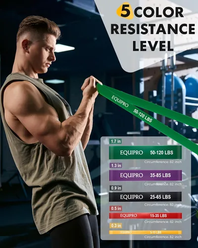 Miniatura 2 de Bandas de resistencia de Equipro, bandas de ejercicio, bandas de resistencia para entrenar con asas y anclaje de puerta, bandas de entrenamiento