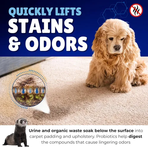 Miniatura 3 de Oh Yuk Probiotics - Eliminador de olores de mascotas y espray removedor de manchas – Eliminador de olores de orina y excremento de perros y gatos