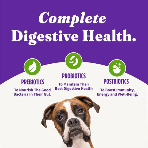 Miniatura 8 de Halo Receta holística a base de plantas con superalimentos, salud digestiva completa, bolsa de comida seca vegana para perros, fórmula para adultos