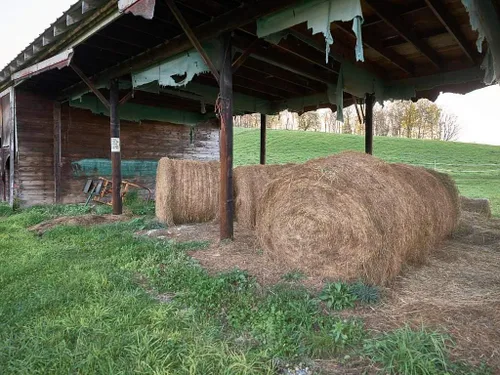 Foto: pacas de heno en los terrenos de la casa Park-McCullough, una mansión de treinta y cinco habitaciones situada en 200 acres de terrenos en