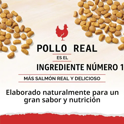 Miniatura 6 de Purina Cat Chow Naturals - Alimento seco para gatos con vitaminas, minerales y nutrientes añadidos, Naturals Original - Bolsa de 13 libras