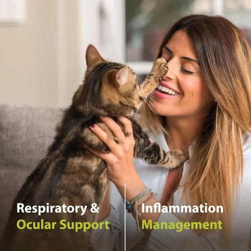 Miniatura 6 de PRN Pharmacal Duralactin Feline L-Lysine Pasta para gatos y gatitos – Apoya la salud de las articulaciones felinas, respiratoria y ocular – Pasta