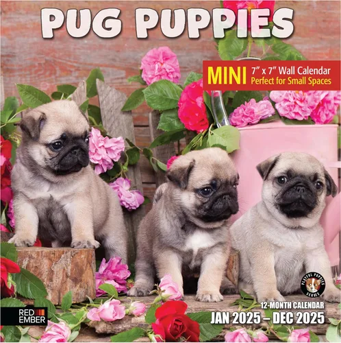Miniatura 31 de RED EMBER Calendario de pared 2025 con diseño de cachorros de 12 meses, 12 x 24 pulgadas, abierto, papel grueso y resistente, para regalo