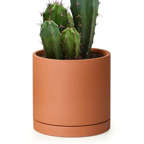 Miniatura 16 de D'vine Dev Maceta de Terracota Extra Pequeña de 4 Pulgadas con Orificio de Drenaje y Platillo, Maceta Cilíndrica Redonda para Plantas
