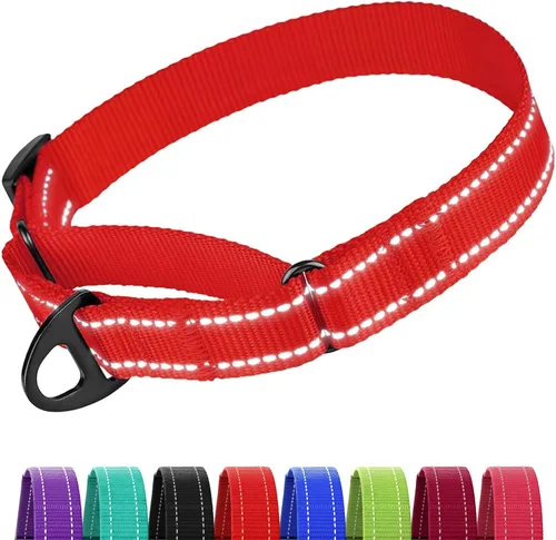 Miniatura 12 de CollarDirect Martingale - Collar de nailon resistente para perros pequeños, medianos y grandes [nailon, estampado, aguamarina, L, 15-20 pulgadas)
