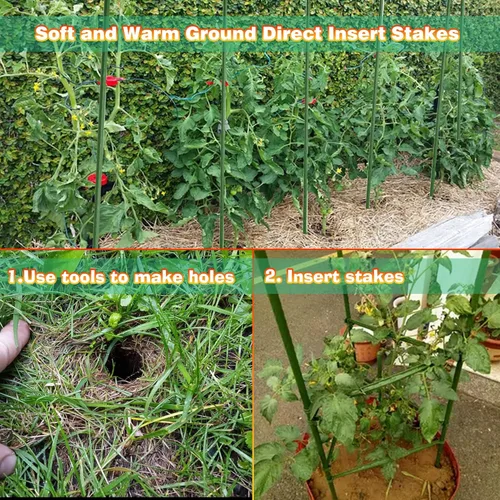 Miniatura 6 de Xiny Tool Estacas de jardín, paquete de 25 estacas de tomate de jardín de acero con capa de plástico para plantas trepadoras