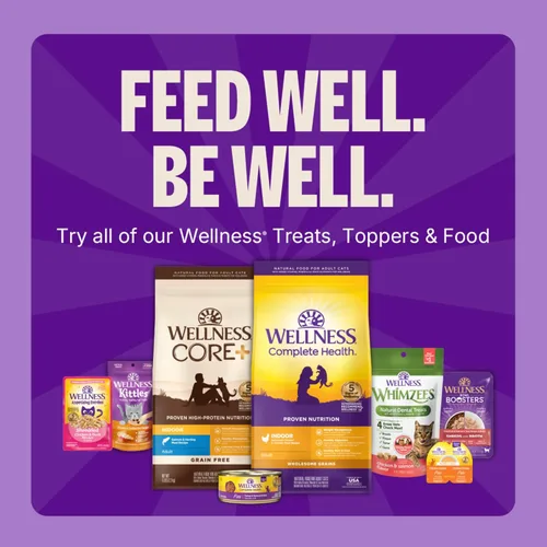 Miniatura 8 de Wellness Kittles - Crujiente sorpresa alimenticia natural para gatos sin granos
