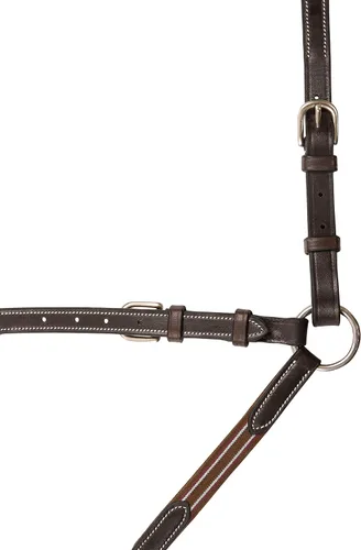 Miniatura 5 de Exion Designer - Pechera de caballo con lazo para fijación de circunferencia y marchita con accesorio para correr para cuello de caballo Peto