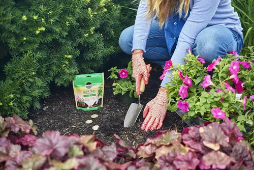 Miniatura 4 de Miracle-Gro Tabletas de siembra de inicio rápido (paquete de 2)