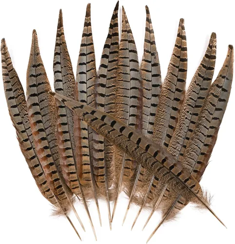 Miniatura 10 de THARAHT 24 plumas de faisán femenino, plumas naturales de 6 a 8 pulgadas, 5.9-7.9 in para manualidades, hogar, boda, fiesta, actuación, decoración