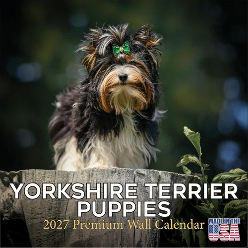 Miniatura 175 de Calendario 2025 2026 de cachorros Cocker Spaniel - Calendario mensual de pared de raza de perro - 12" x 24" abierto - Papel grueso sin sangrado