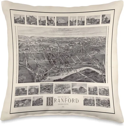 New Haven County Connecticut Old Town Atlas Vintage Branford CT Map (1905) - Almohada de 16 x 16 pulgadas, multicolor