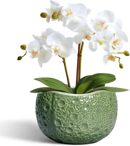 Miniatura 29 de Macetas de Cerámica Thirtypot - Maceta de 4 Pulgadas con Agujero de Drenaje, Macetas Pequeñas para Plantas de Interior y Exterior, Maceta Redonda
