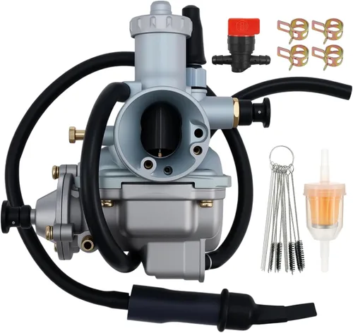 Autu Parts Carburador LT125 13200-18912 compatible con Suzuki ALT125 LT125 1983-1986 LT125 Quadrunner 1983-1987 ALT 185 1983-1987#13200-18901 1322