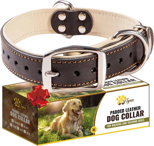 Miniatura 10 de ADITYNA Collar de perro de cuero rosa resistente para perros grandes, forrado con cuero suave, collar de perro para caminar, entrenar y senderismo