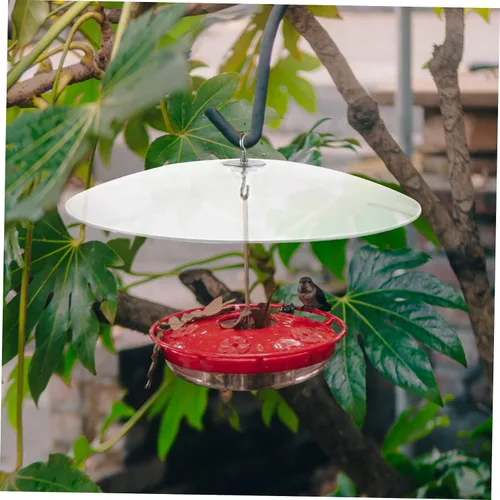 Miniatura 8 de Amosfun Alimentadores de cubierta de alimentador para exteriores, ganchos para colgar alimentador de colibríes de plástico, cubierta de cúpula