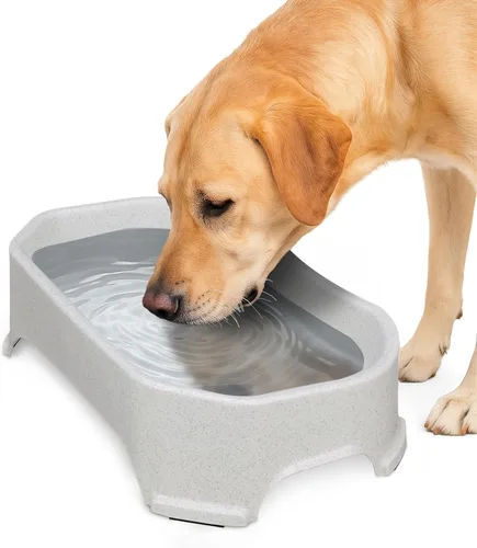 Miniatura 15 de Neater Pet Brands Cuencos para gatos de gran capacidad, cuenco de agua para gatos, reptiles, pollos, aves y animales pequeños, cuenco de comida